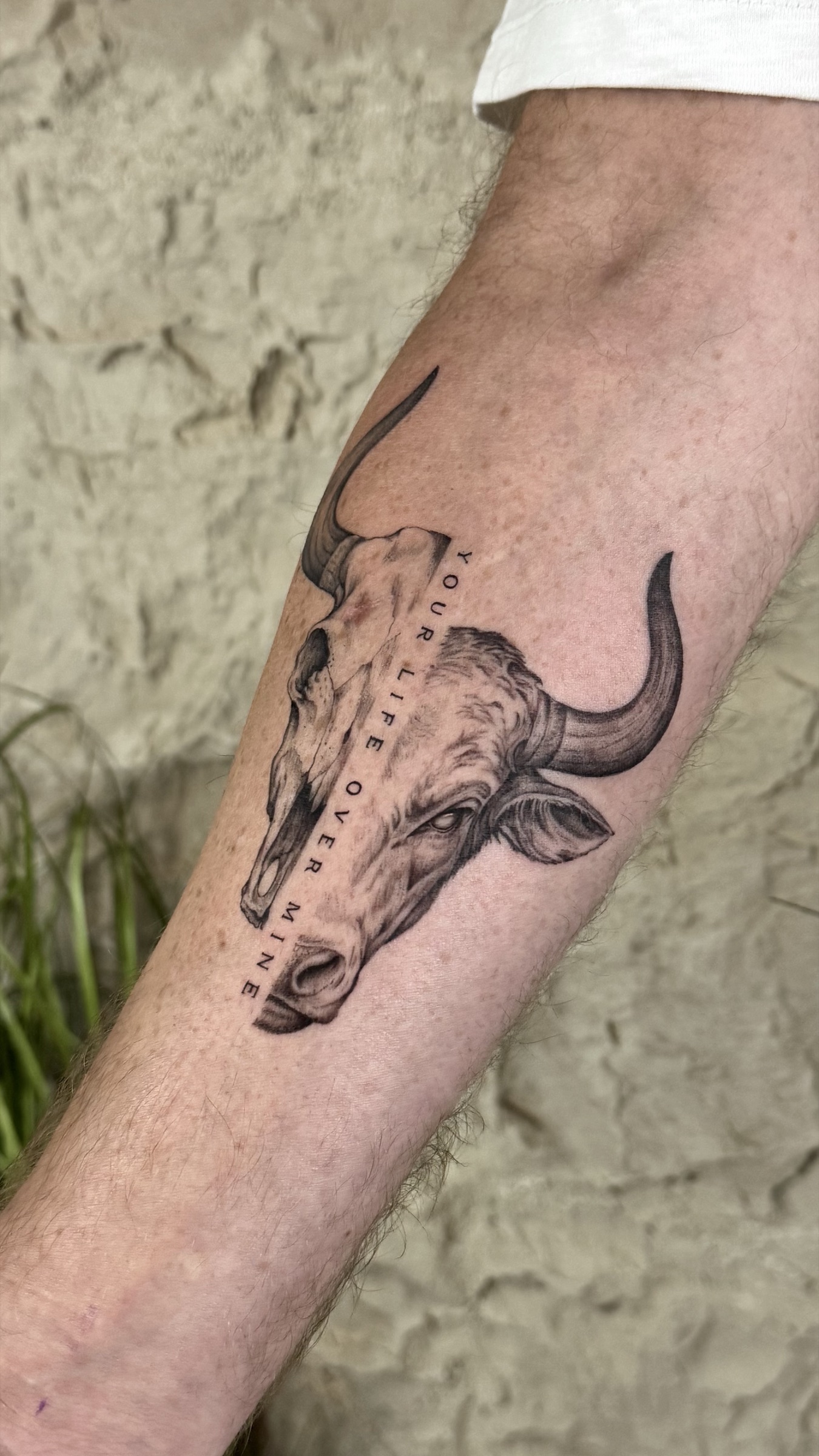 Realistisches Bull Tattoo von Joshua Téclaire