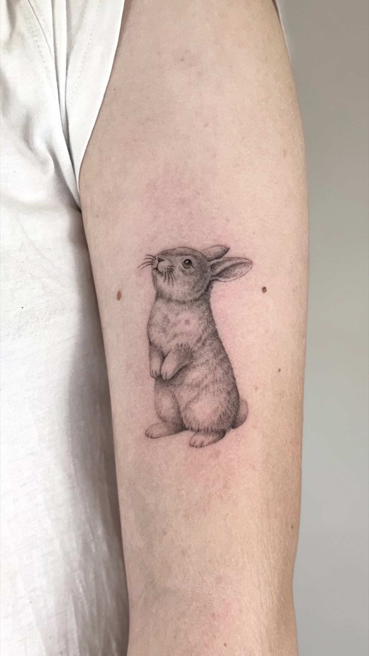 Hase als Mikrorealismus Tattoo von Joshua Téclaire